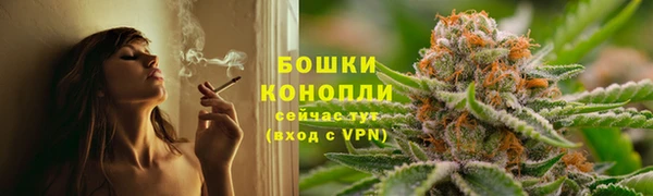 скорость Новозыбков