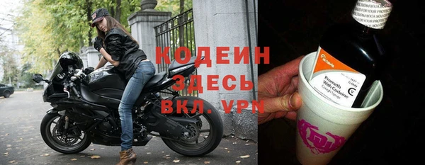 шишки Осинники