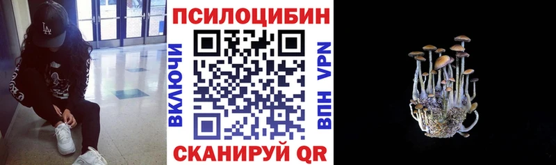 магазин продажи   мориарти Telegram  Галлюциногенные грибы Psilocybe  Обоянь 